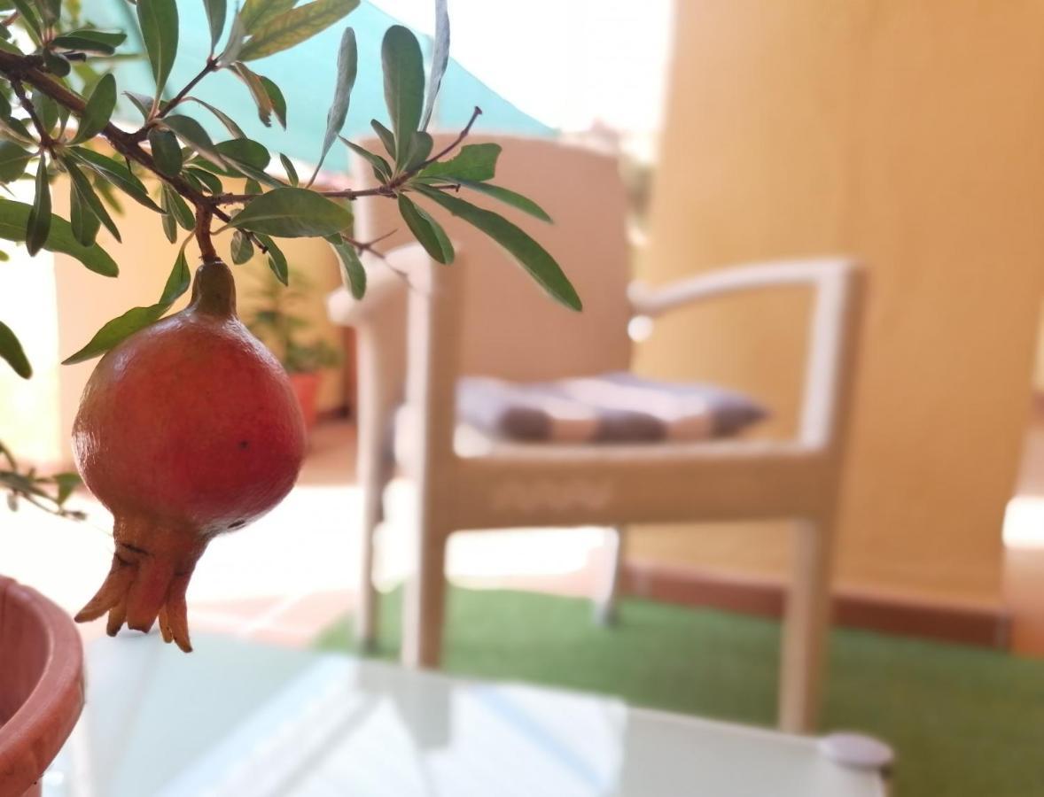 Relax & Home, Apartamento Con Terraza Y Parking 拉苏维亚 外观 照片